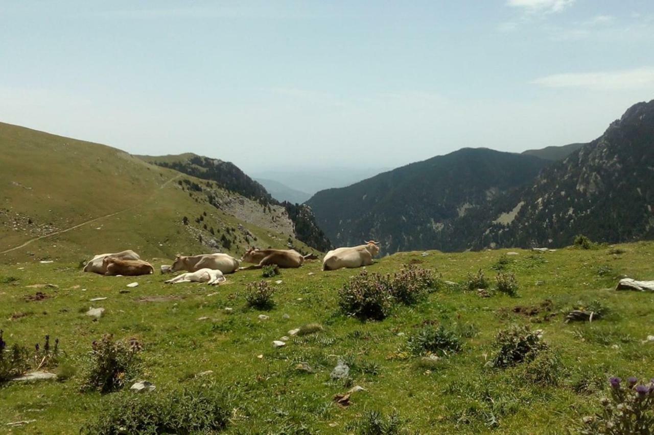 Вилла Ca L'Andreu Ventola Экстерьер фото